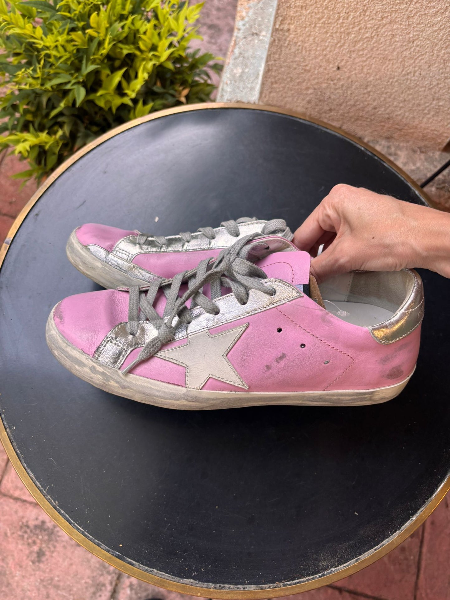 Golden Goose