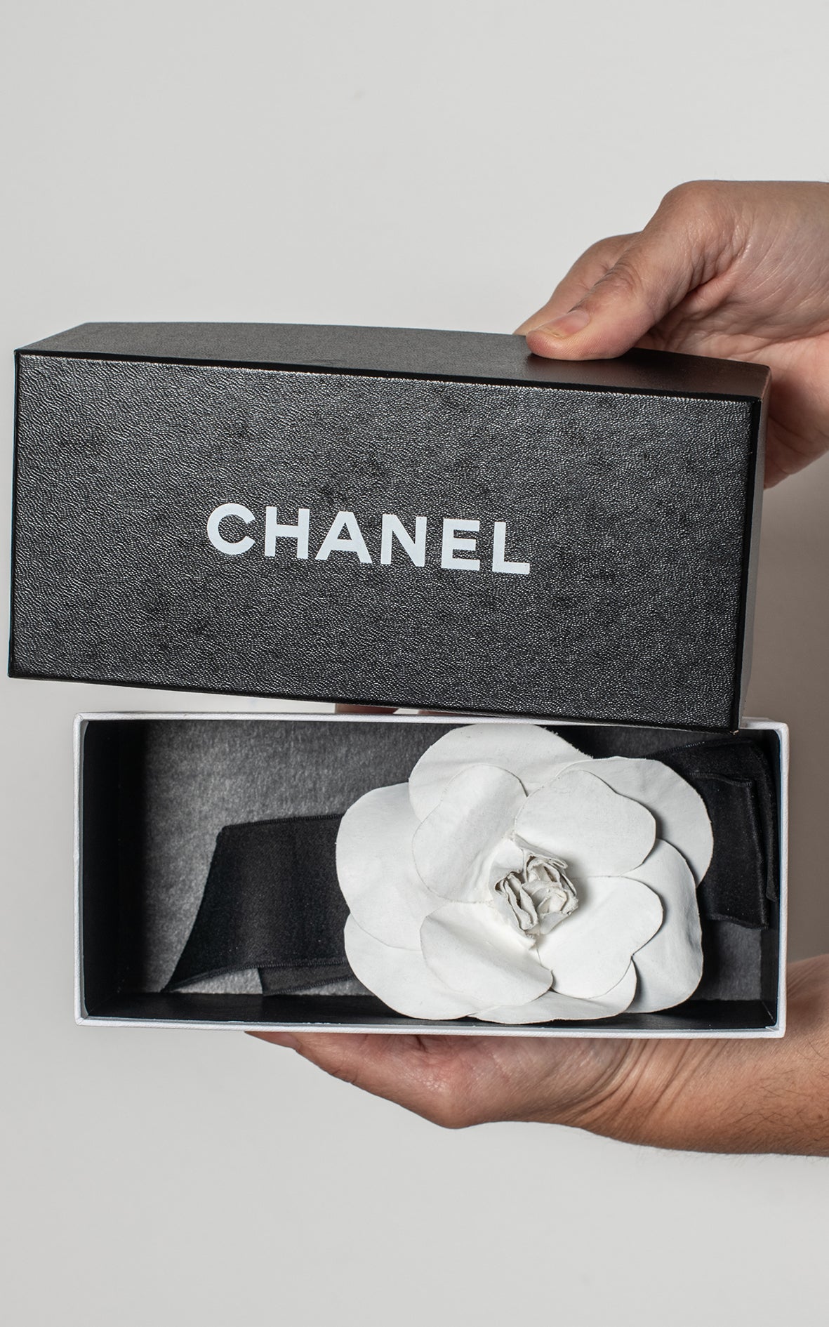 Broche camelia