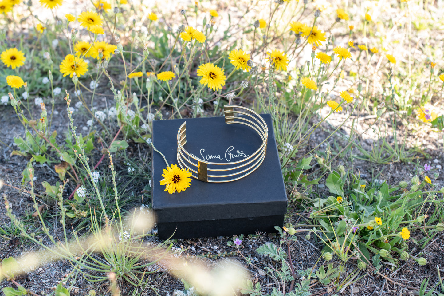 Chocker dorado (modelo Jirafa)