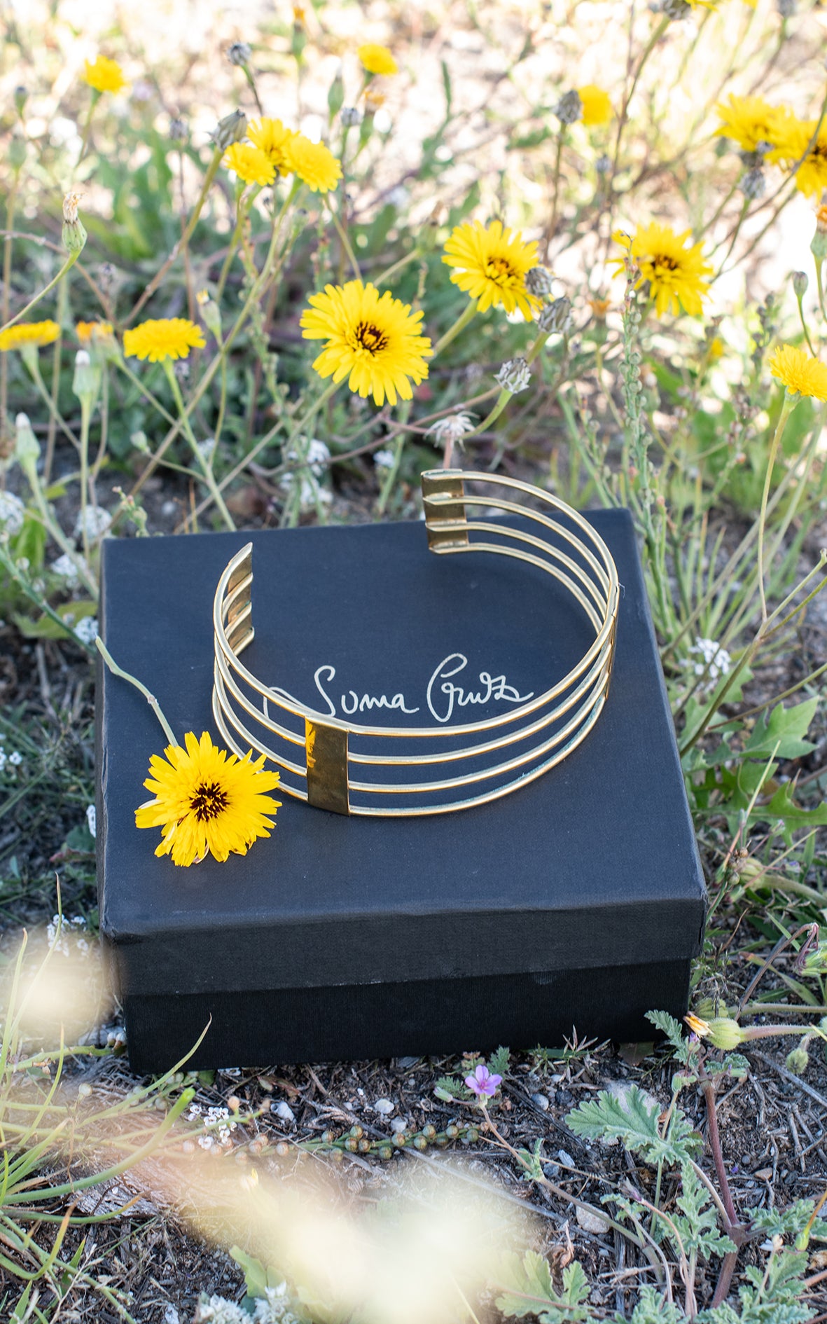 Chocker dorado (modelo Jirafa)