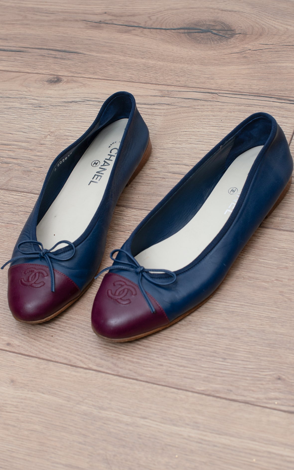 Bailarinas moradas y azul marino