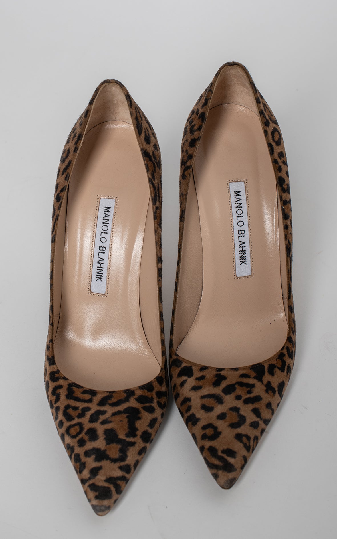 Salones animal print