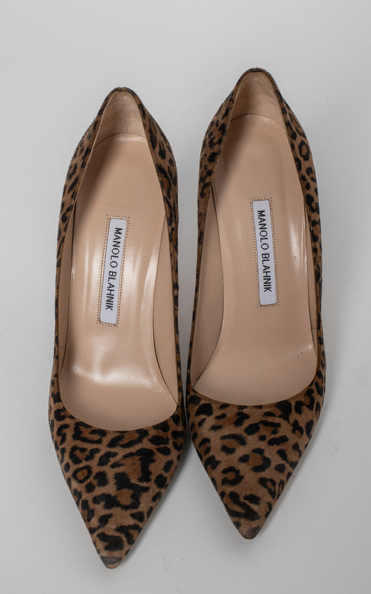 Salones animal print