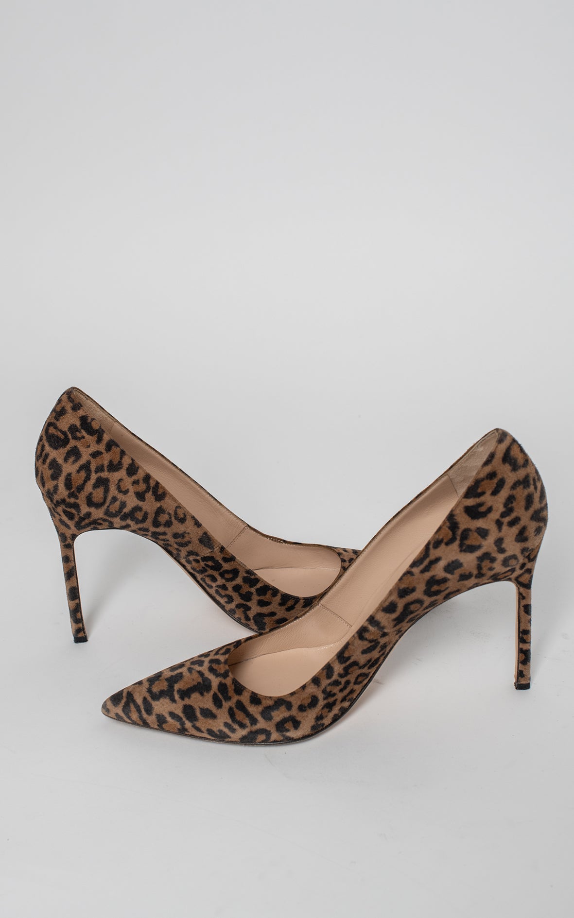 Salones animal print
