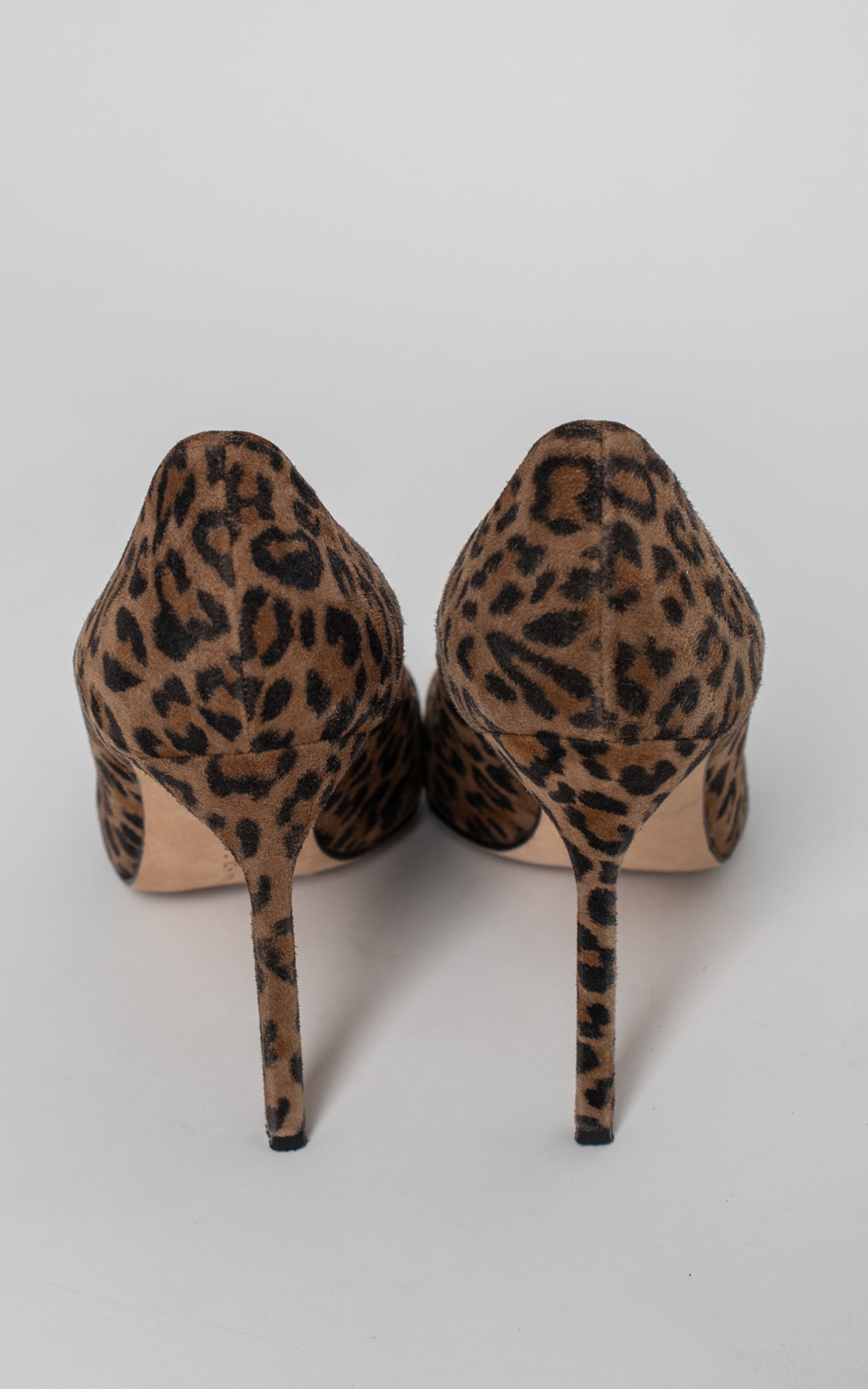 Salones animal print